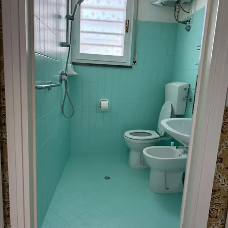 Gina לידו די סביו